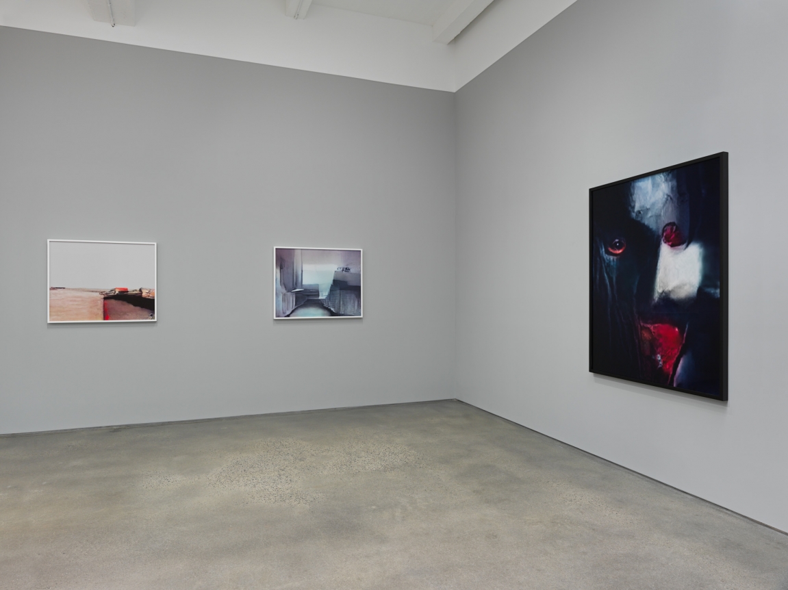 A Study of Invisible Images. Installation view, 2017. Metro Pictures, New York.