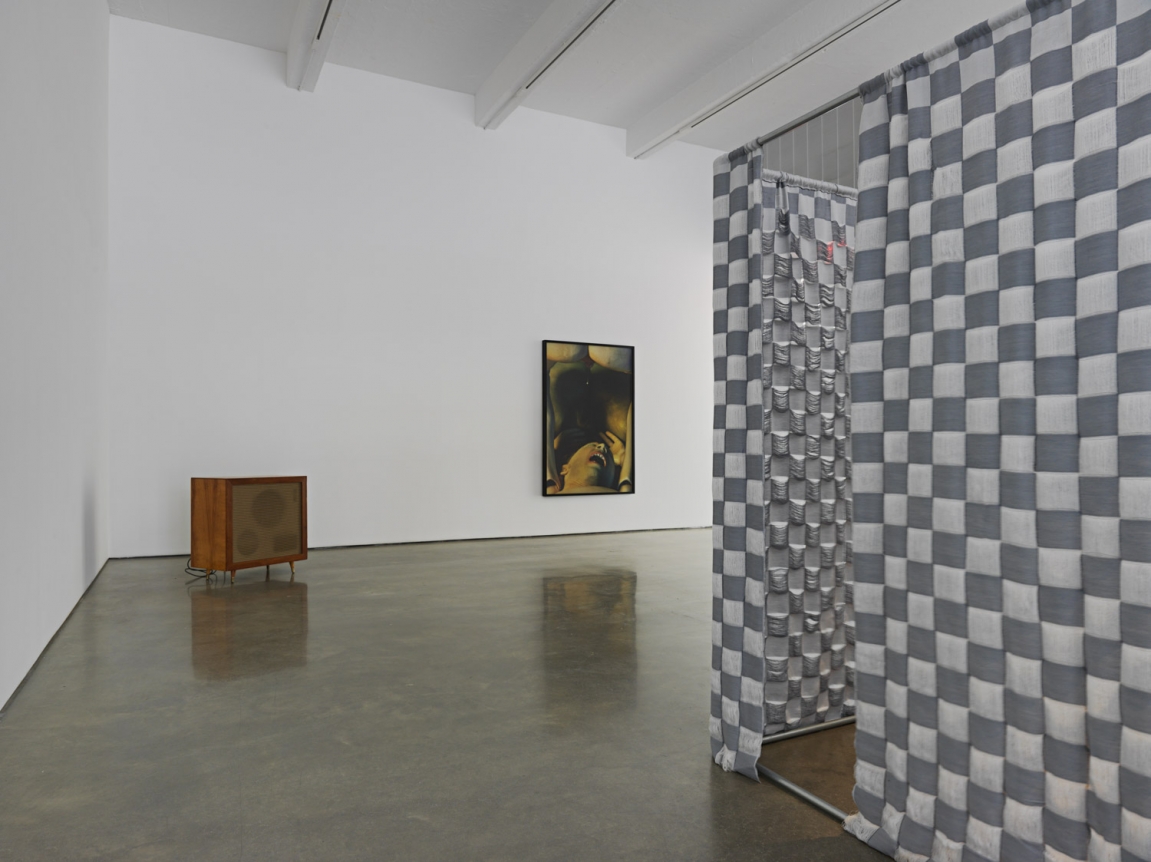 Life to come. Installation view, 2019. Metro Pictures, New York.