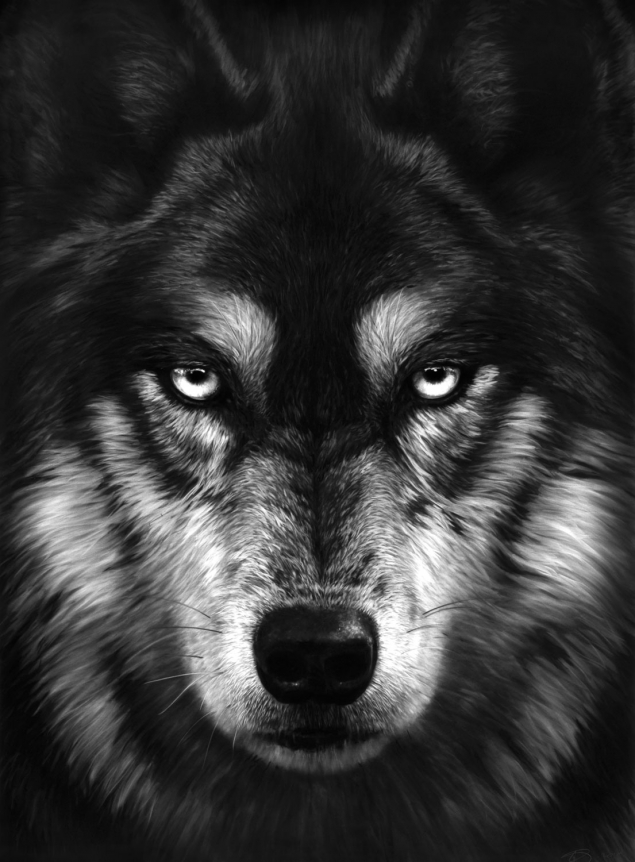 Robert Longo, Untitled (Loris), 2018.