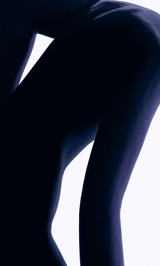 Black Nude, 2013. Digital C-print, 81 1/4 x 49 1/4 inches (206.4 x 125.1 cm).