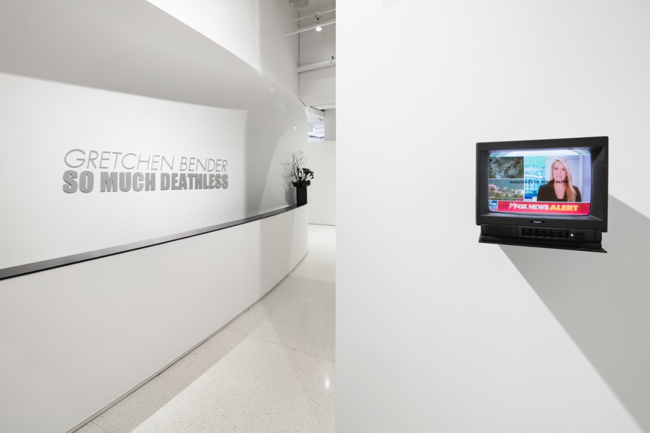 So Much Deathless. Installation view, 2019. Red Bull Arts New York.