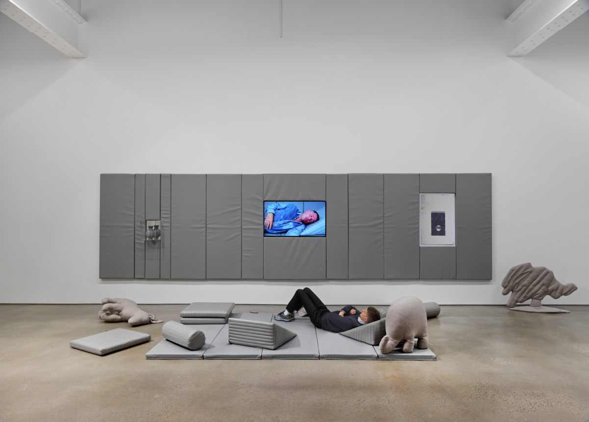 Evidence. Installation view, 2018. Metro Pictures, New York.