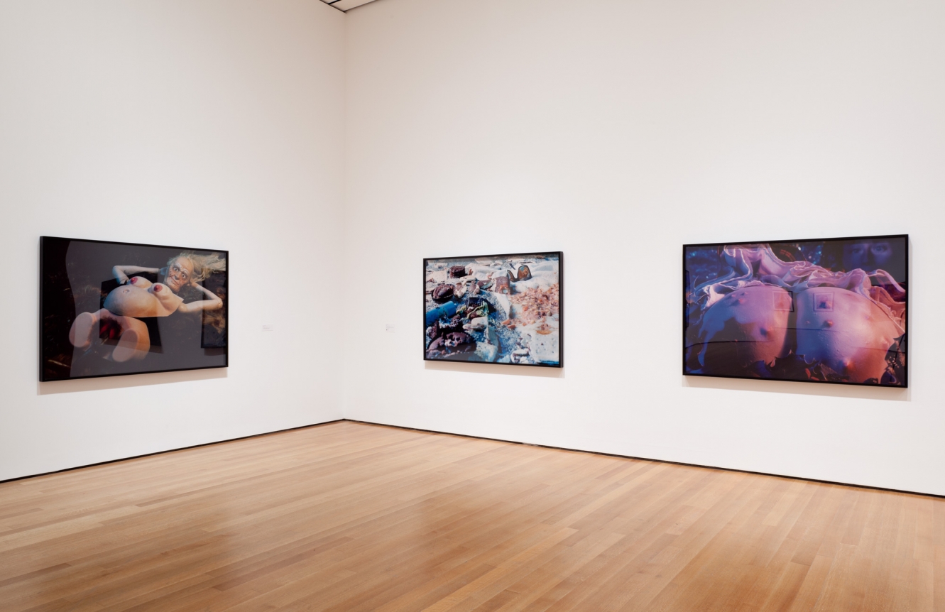 Installation view, 2012. Museum of Modern Art, New York.