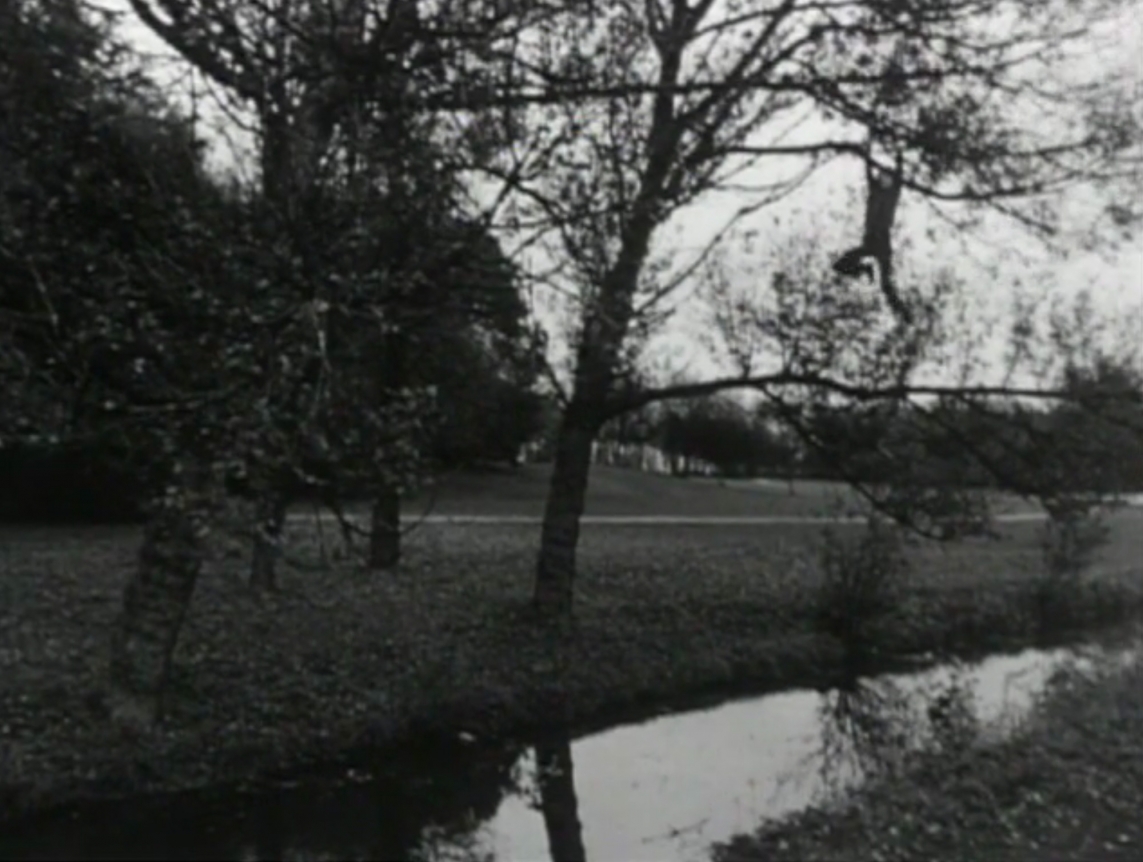 Broken fall (organic), Amsterdamse Bos, Holland, 1971