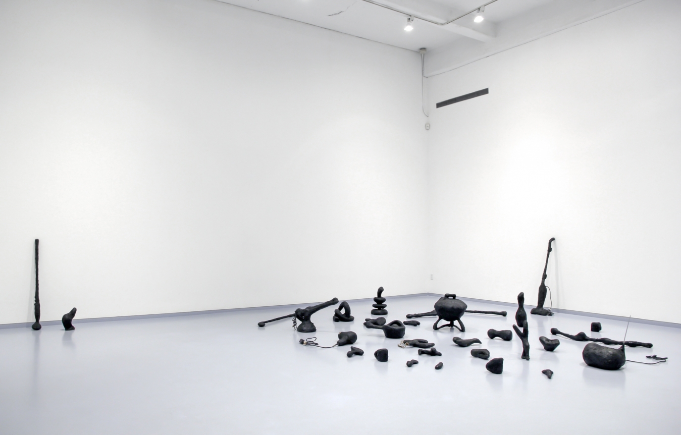 Camille Henrot