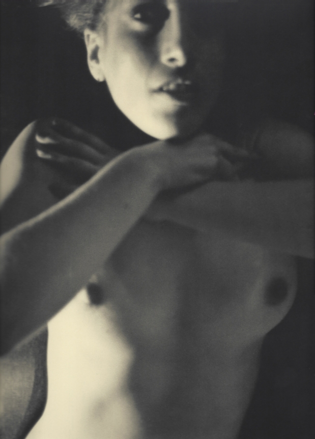 David Salle, Untitled