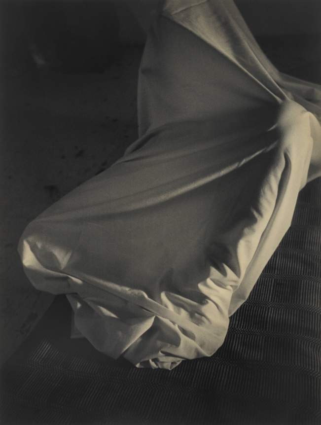 David Salle, Untitled