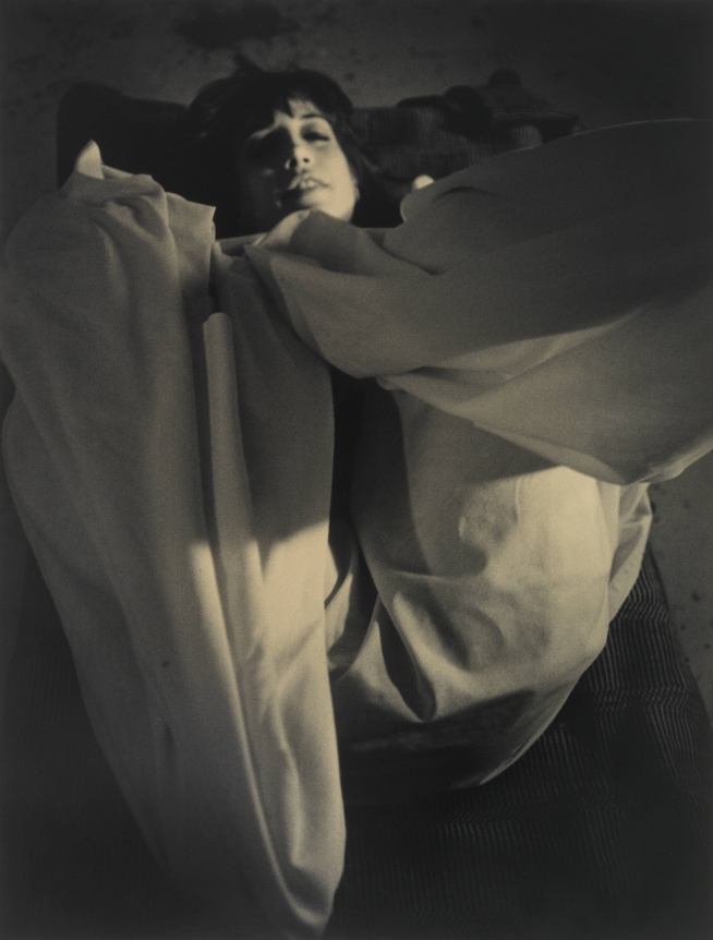 David Salle, Untitled