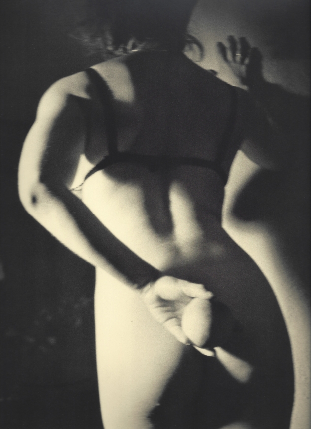David Salle, Untitled