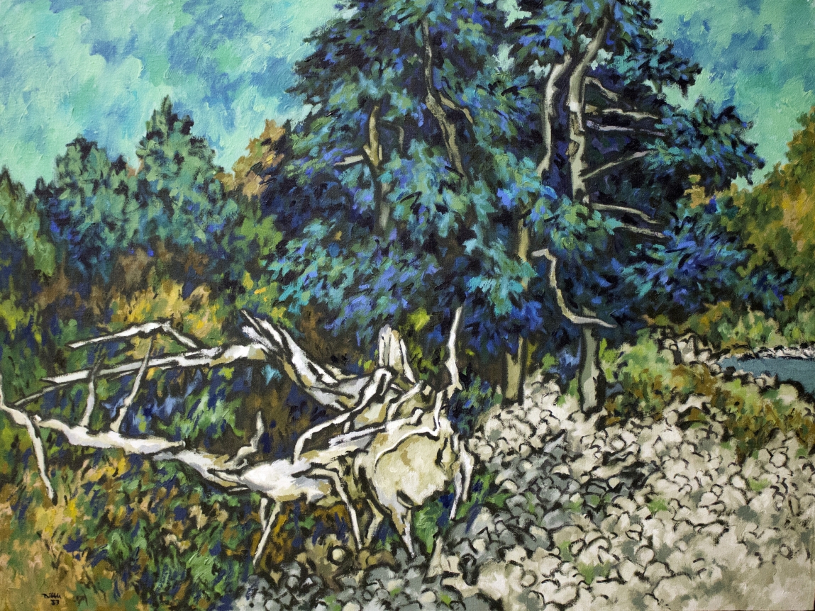 Oil painting of Preble Cove, Cranberry Island by Easton Pribble.