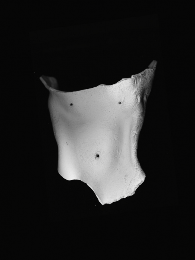 Aditya Pande E+H&M 2014 Mixed media on archival paper 61 x 44.5 in.