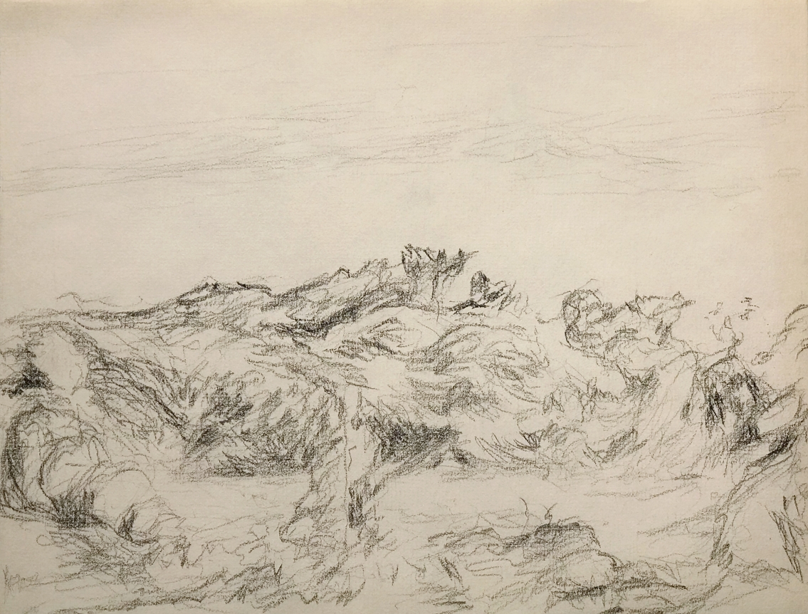 Myron Stout Untitled, 1953, black conte pencil on paper, 9 1/8 x 12 in.