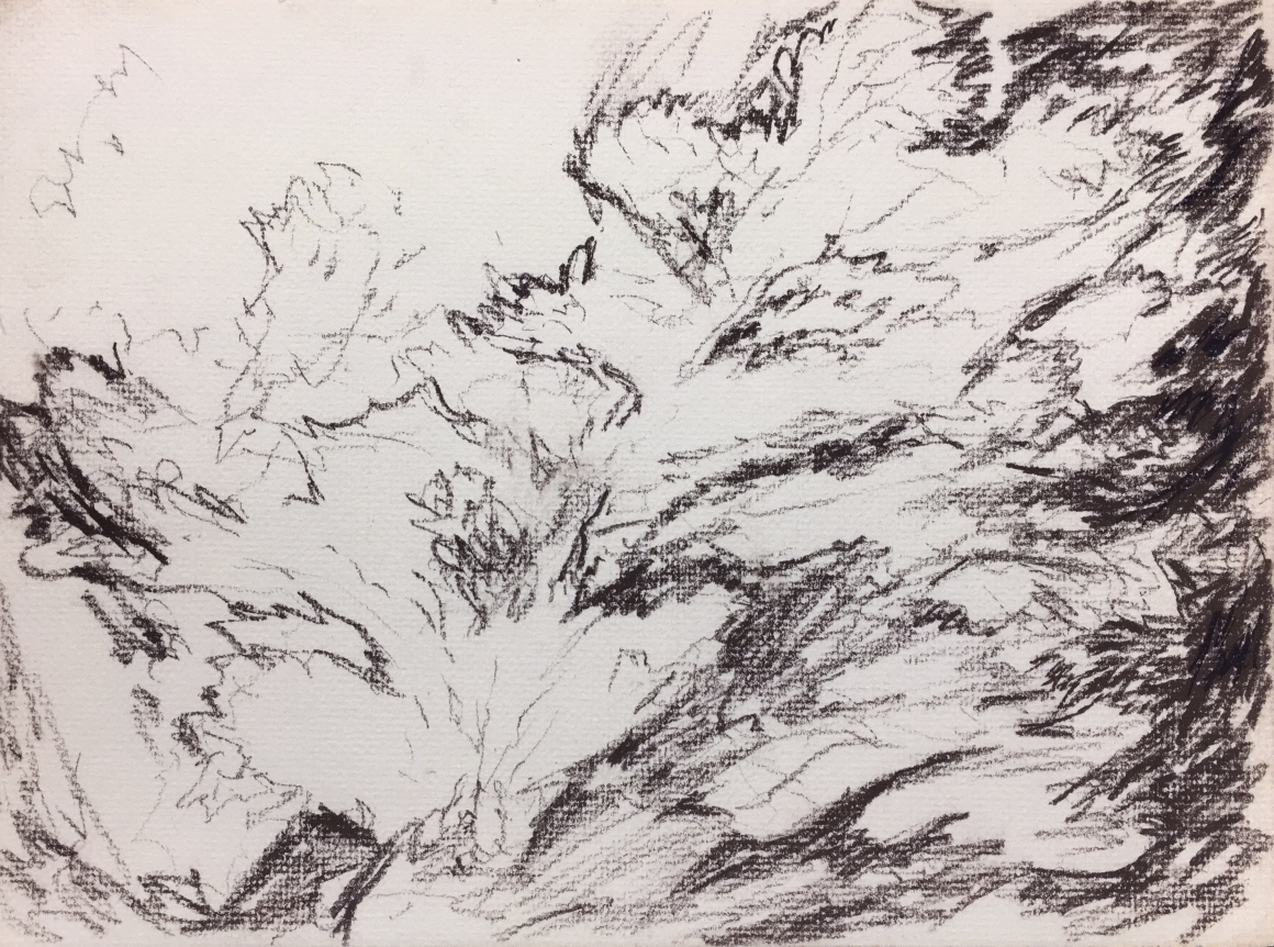 Myron Stout Untitled, 1953, brown and black conte pencil on paper, 8 3/4 x 11 7/8 in.
