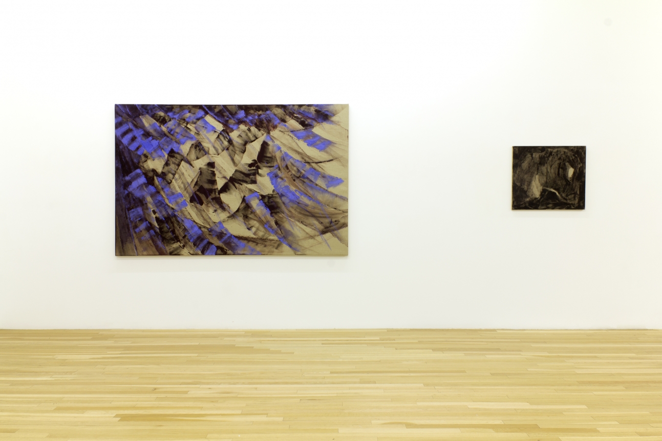 Installation of Shades, February 26 – April 16, 2016