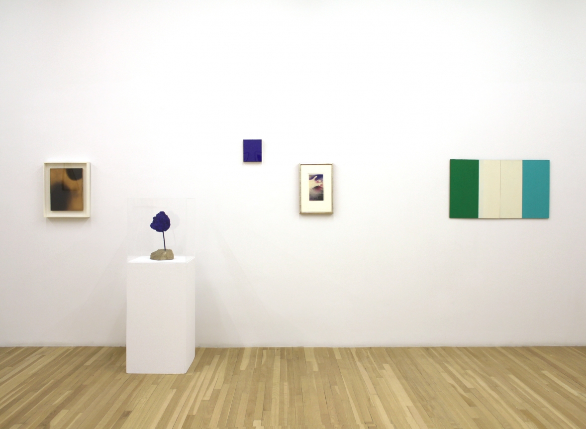 Installation of NO EXIT, February 11 – April 15, 2017
