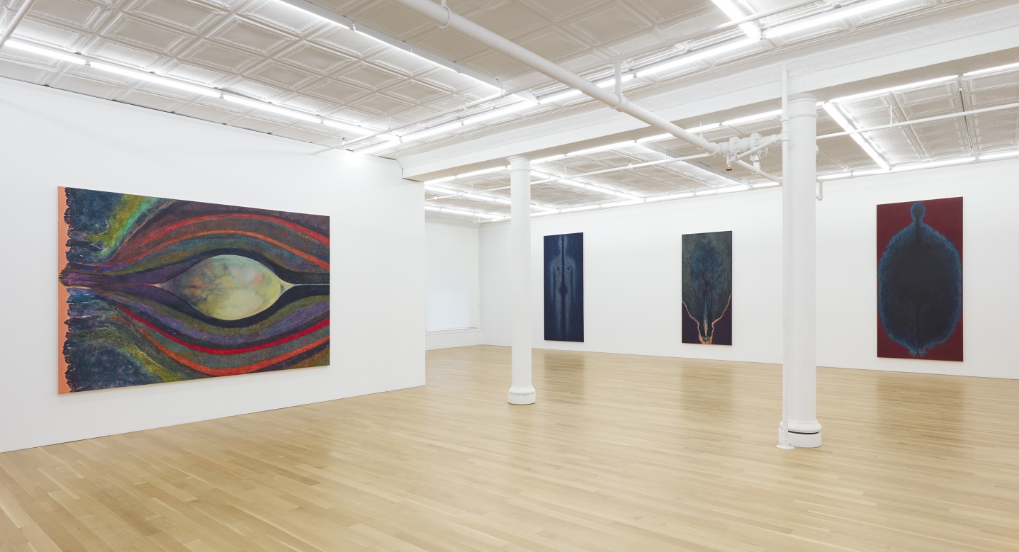 Installation of From Mitosis to Rainbow 