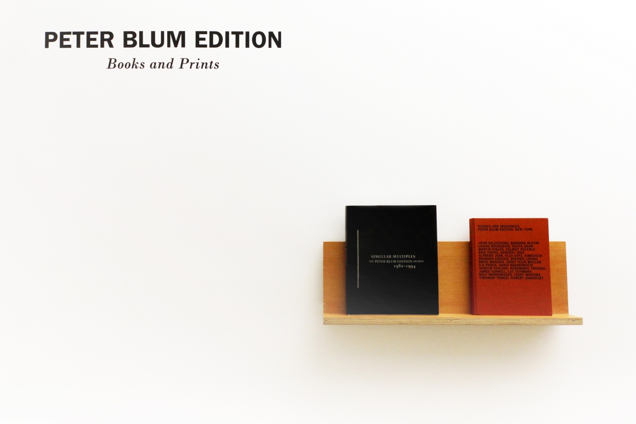 Installation of Peter Blum Edition: Books and Prints, July 6 – September 1, 2015