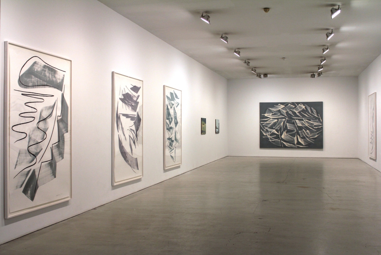 Installation of Pier and Ocean, February 3 – March 26, 2011