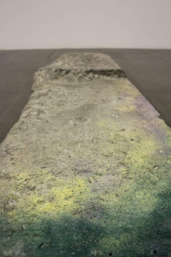 Installation of Nobody Home, November 17, 2011 – January 7, 2012