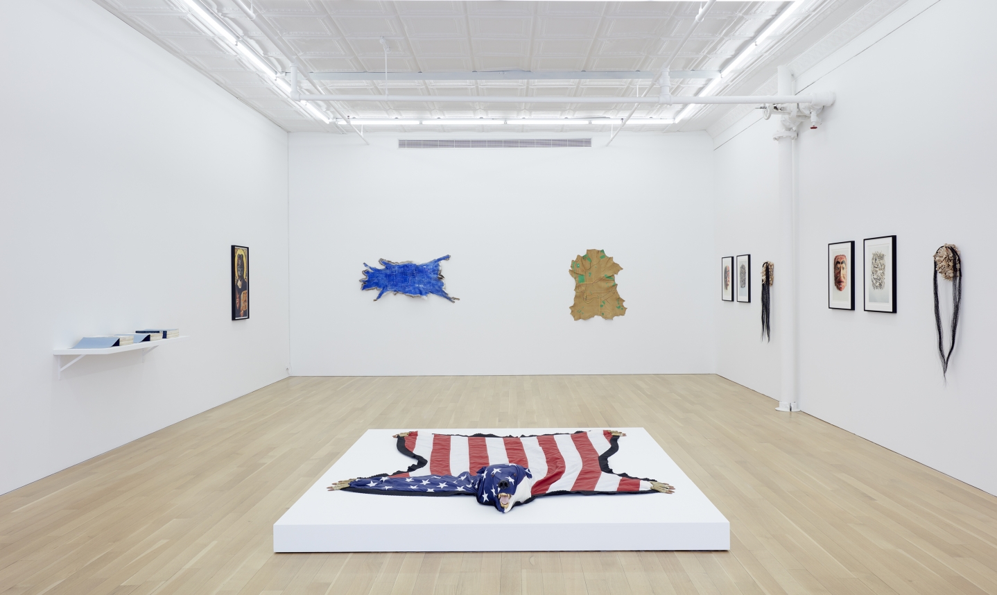 Installation of Carry a Song / Disrupt an Anthem