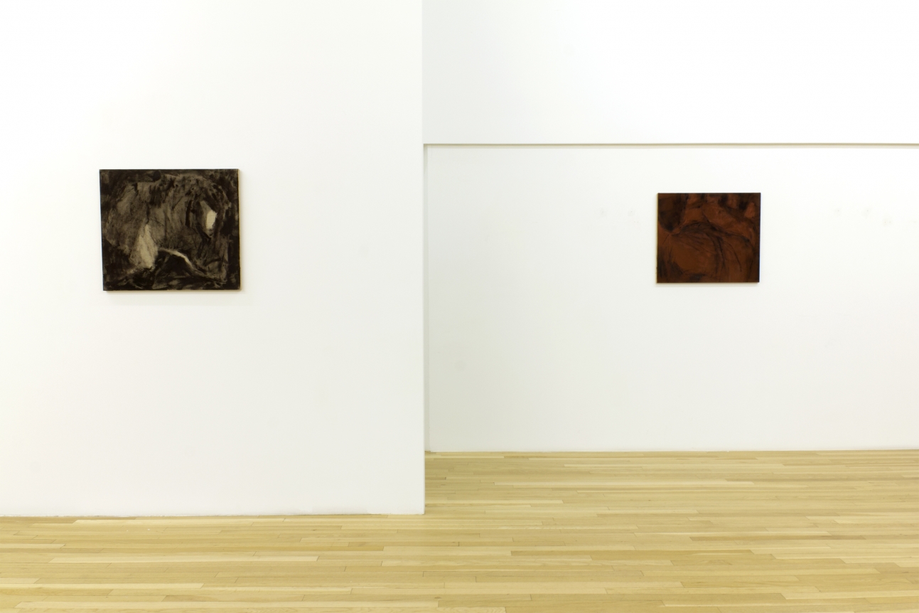 Installation of Shades, February 26 – April 16, 2016