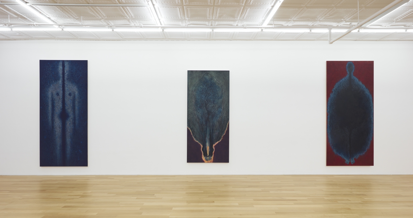 Installation of From Mitosis to Rainbow