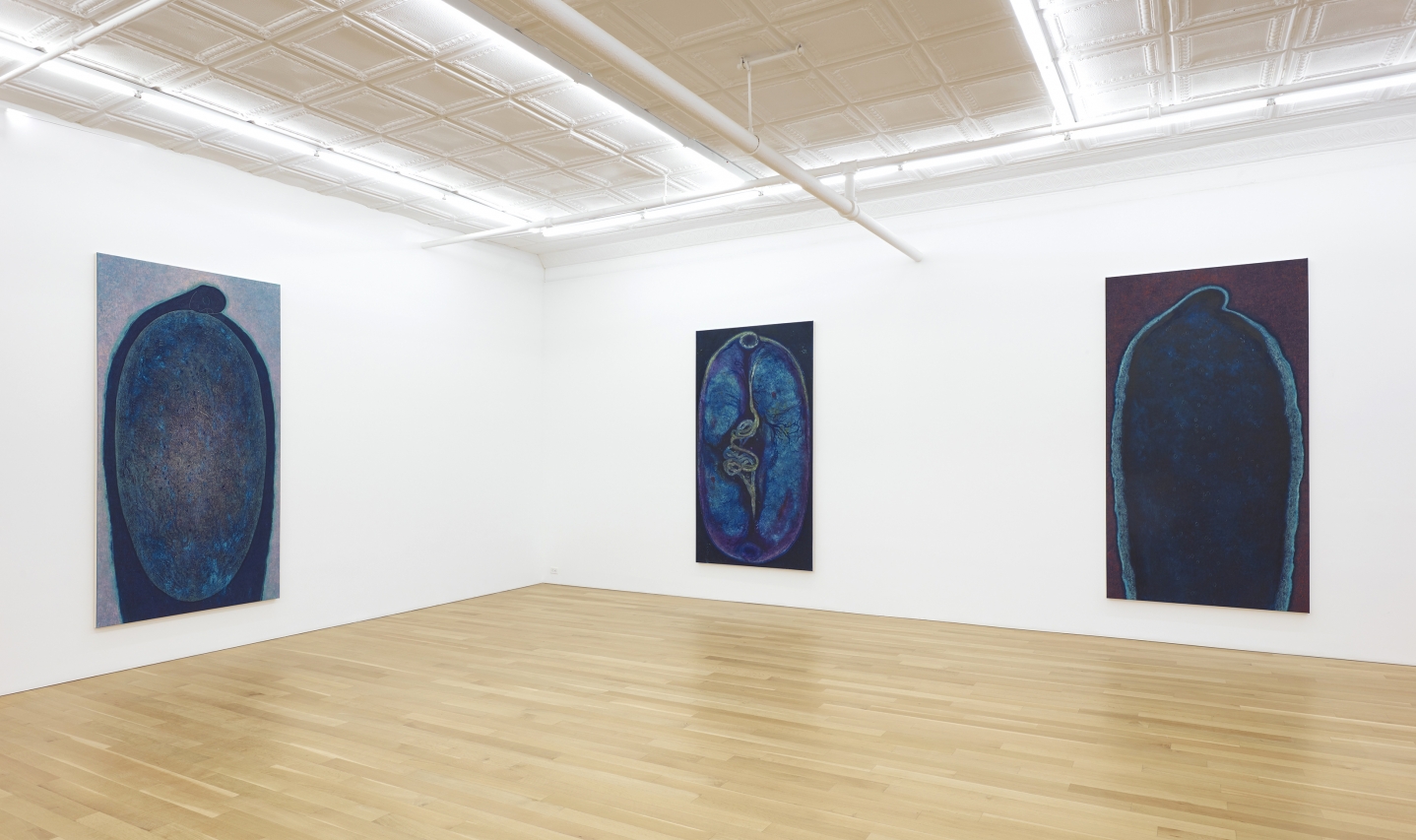 Installation of From Mitosis to Rainbow 
