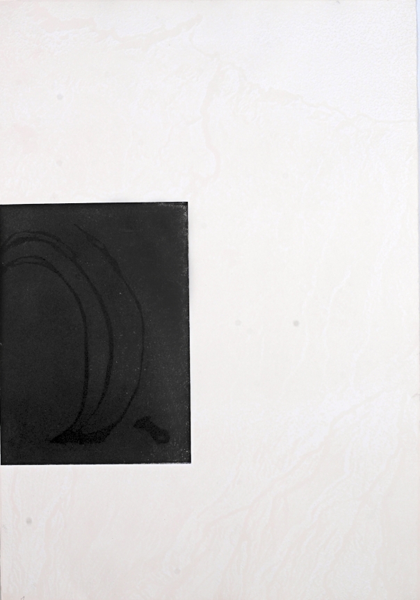 Untitled (Palms in Wind) from: White Carrot