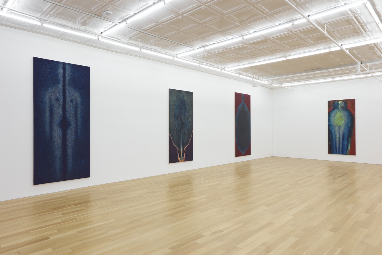 Installation of From Mitosis to Rainbow 