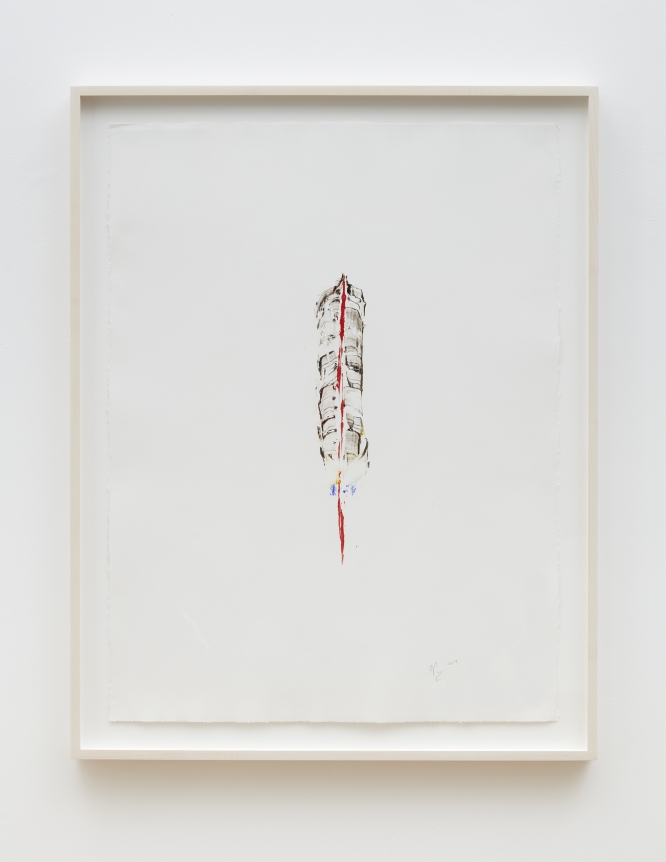 Nicholas Galanin Everything We've Ever Been, Everything We Are Right Now - Untitled (Feather 2), 2019