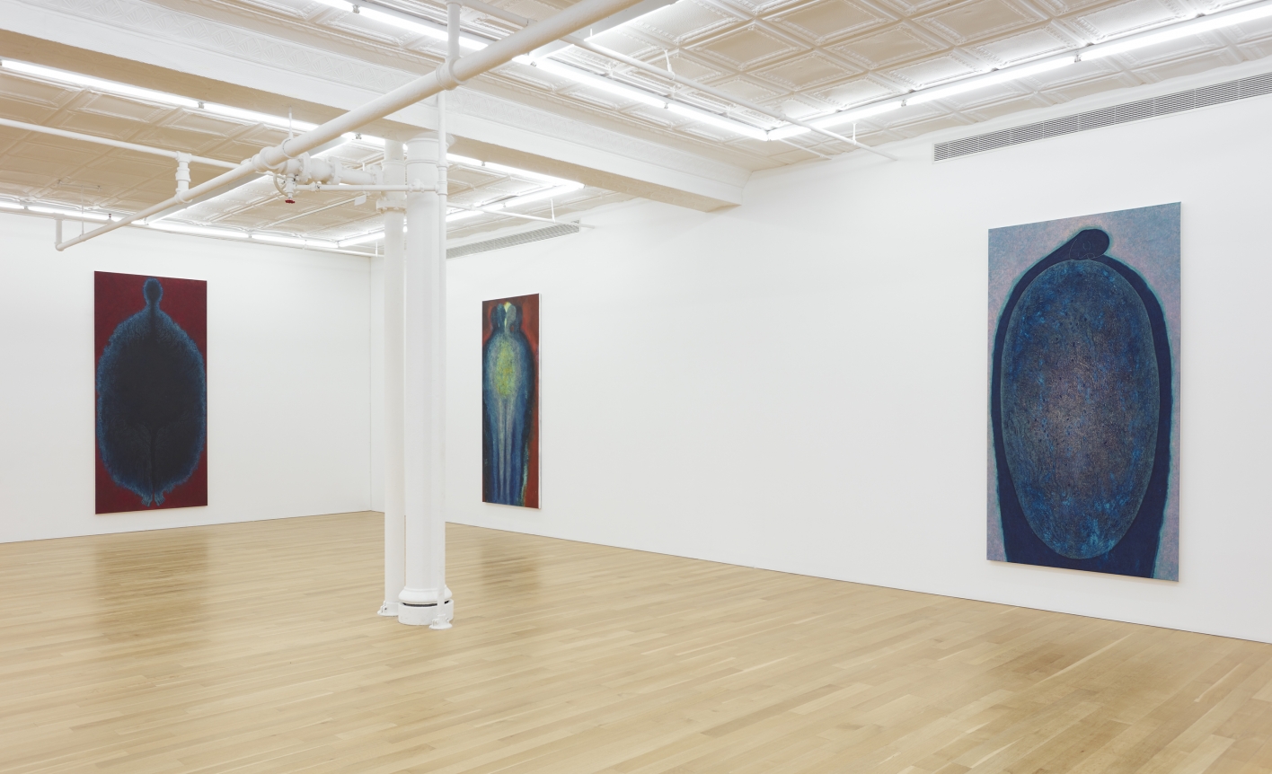 Installation of From Mitosis to Rainbow 