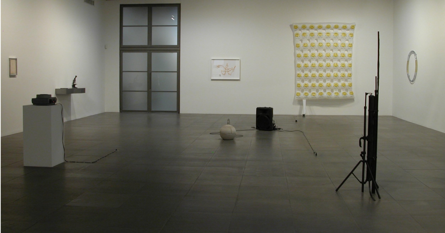 Installation view of Short Circuits Group Exhibition, 2009 at Peter Blum Chelsea.
