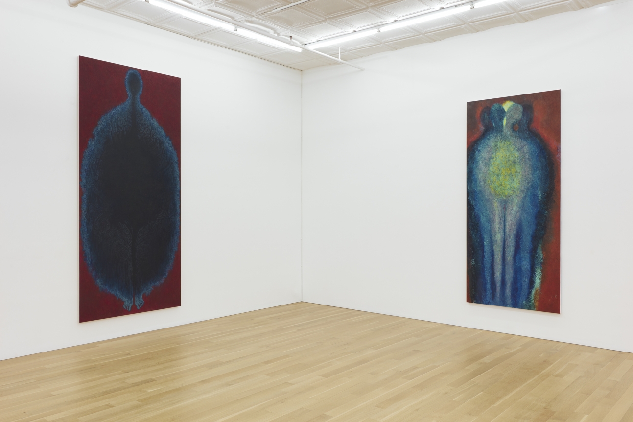 Installation of From Mitosis to Rainbow 