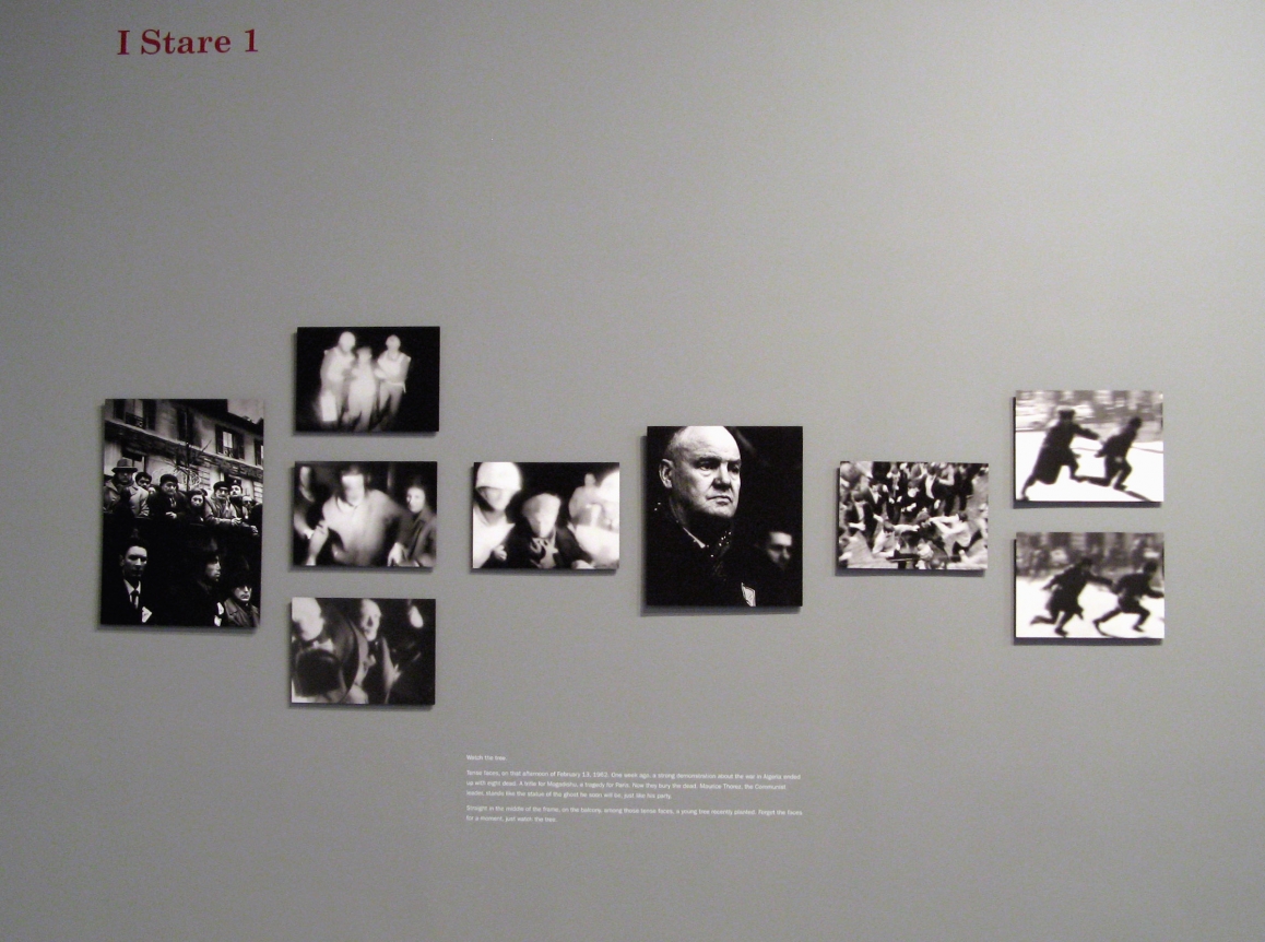 Chris Marker Staring Back Exhibition Peter Blum SoHo 2007