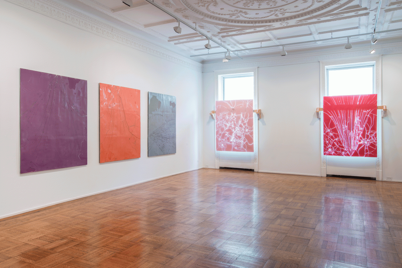 Luca Dellaverson: Fight This Generation Installation View