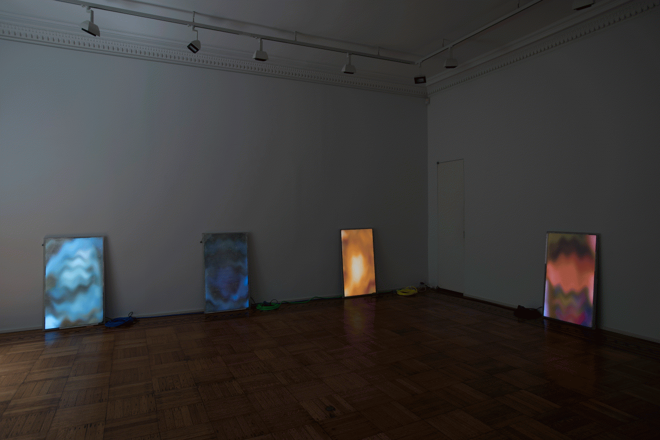 Luca Dellaverson: Fight This Generation Installation View
