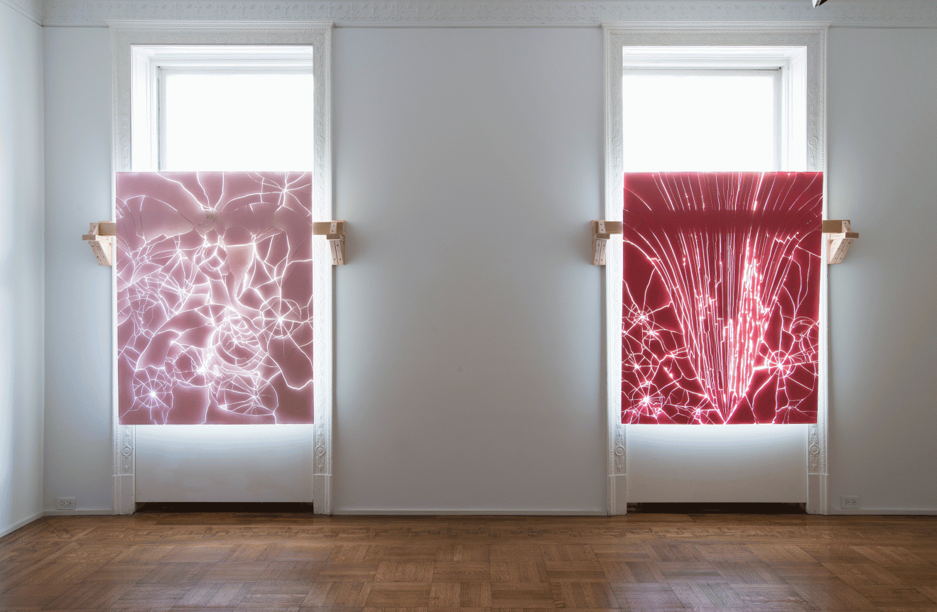 Luca Dellaverson: Fight This Generation Installation View