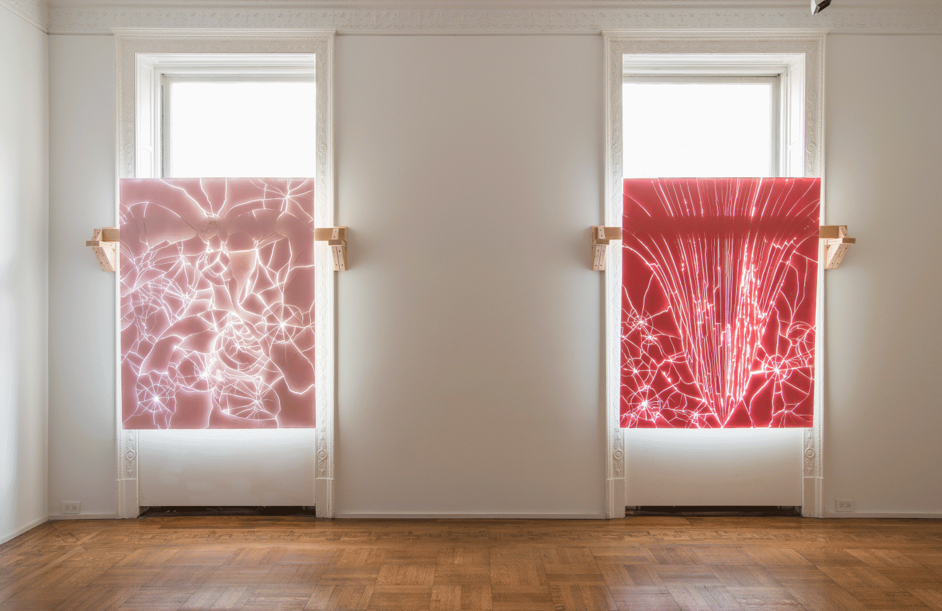Luca Dellaverson: Fight This Generation Installation View