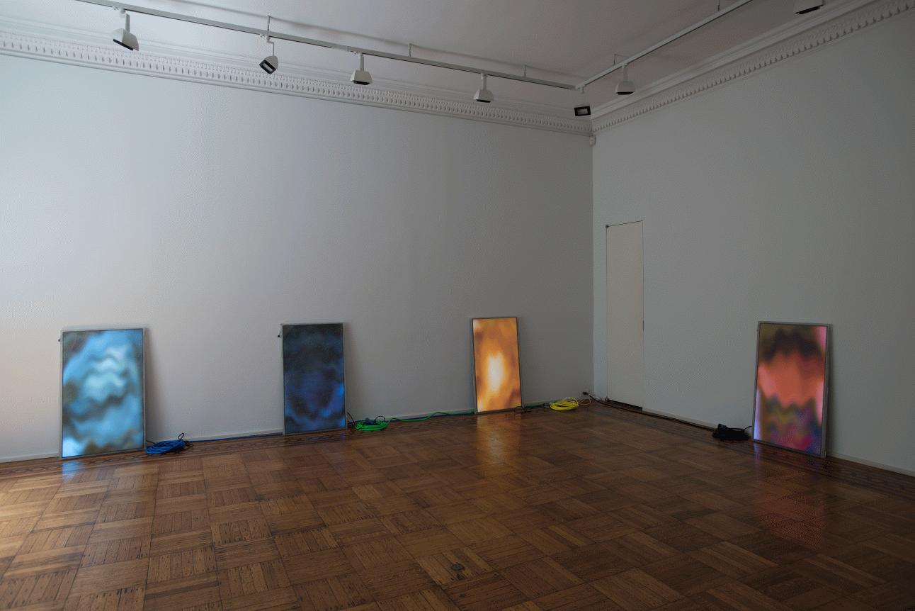 Luca Dellaverson: Fight This Generation Installation View