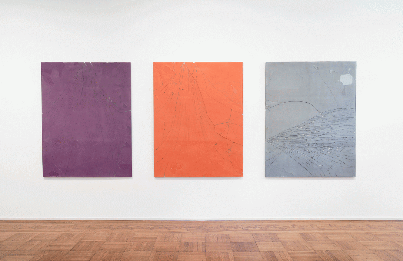 Luca Dellaverson: Fight This Generation Installation View