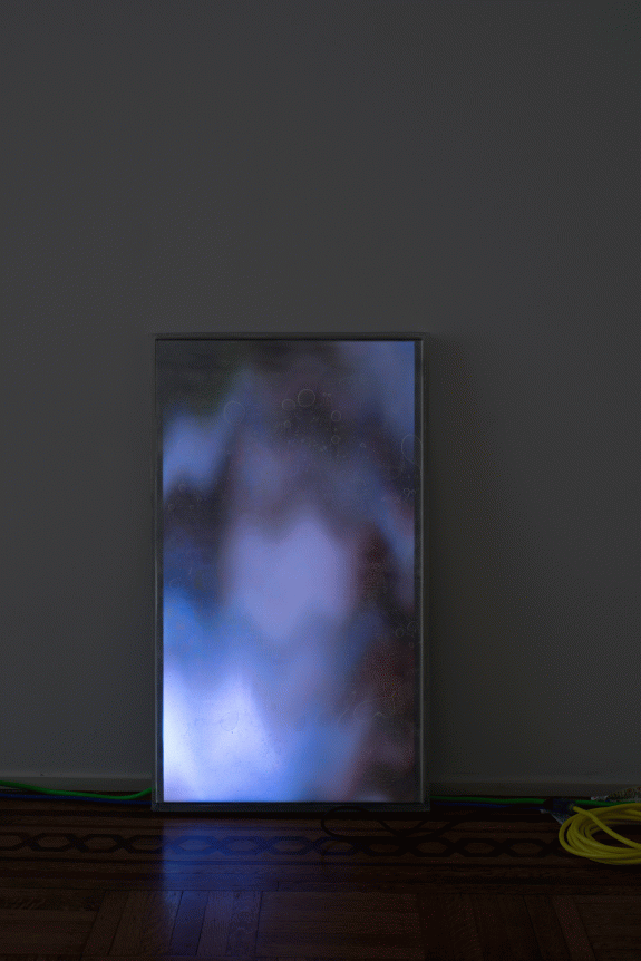 Luca Dellaverson "Jurassic Park", 2015 Epoxy, plexi glass, LCD monitor, and pirated digital file 41-1/2 x 24-1/2 x 1-1/2 inches
