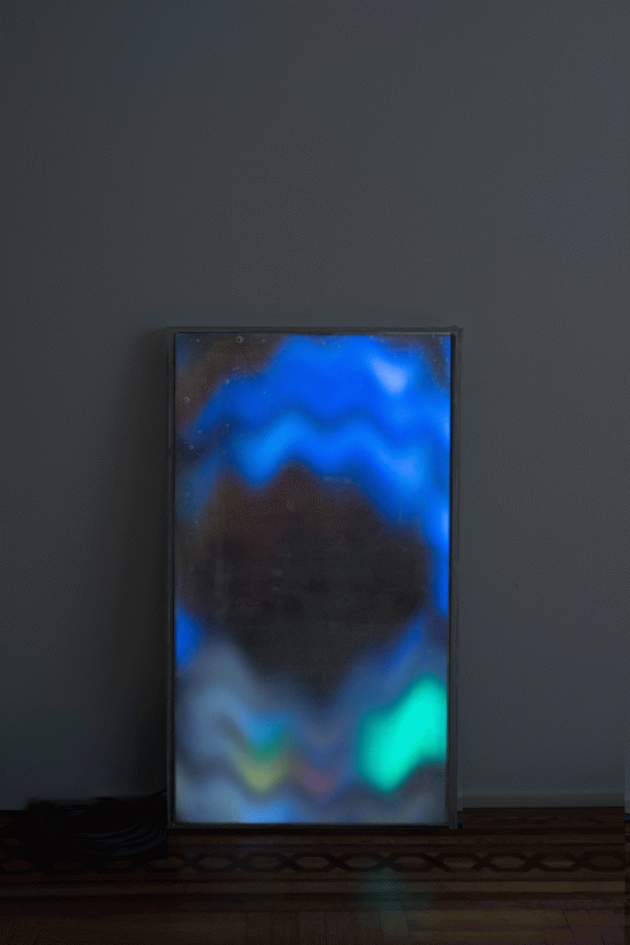 Luca Dellaverson "10 Things I Hate About You", 2015 Epoxy, plexi glass, LCD monitor, and pirated digital file 41-1/2 x 24-1/2 x 1-1/2 inches