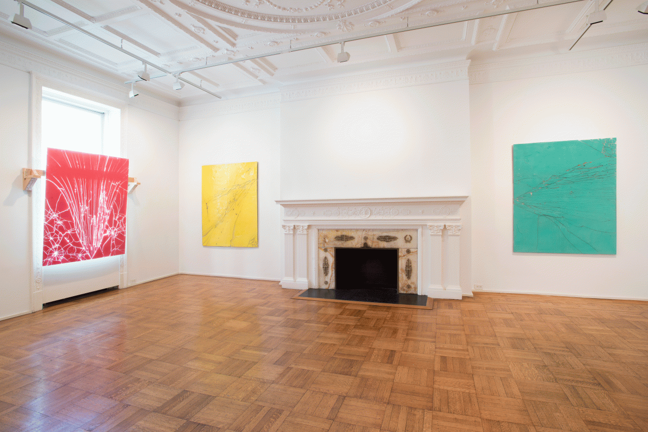 Luca Dellaverson: Fight This Generation Installation View