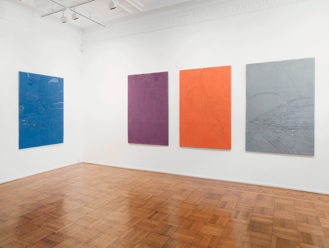 Luca Dellaverson: Fight This Generation Installation View