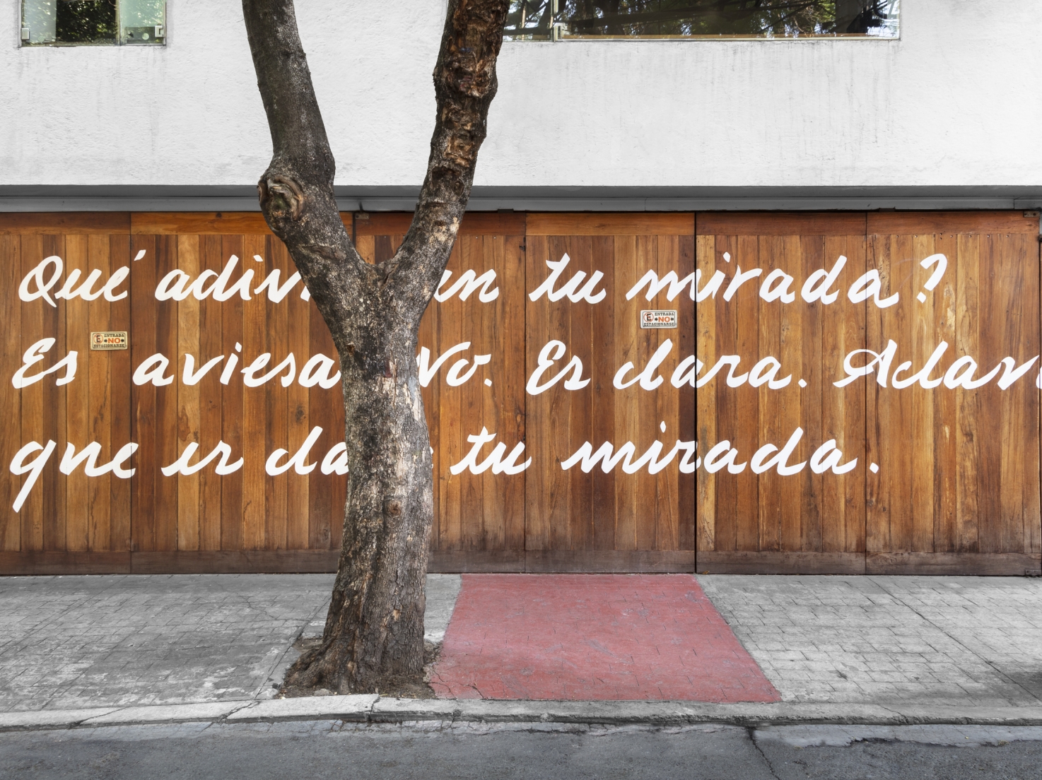 pablo Soler Frost - Mayate