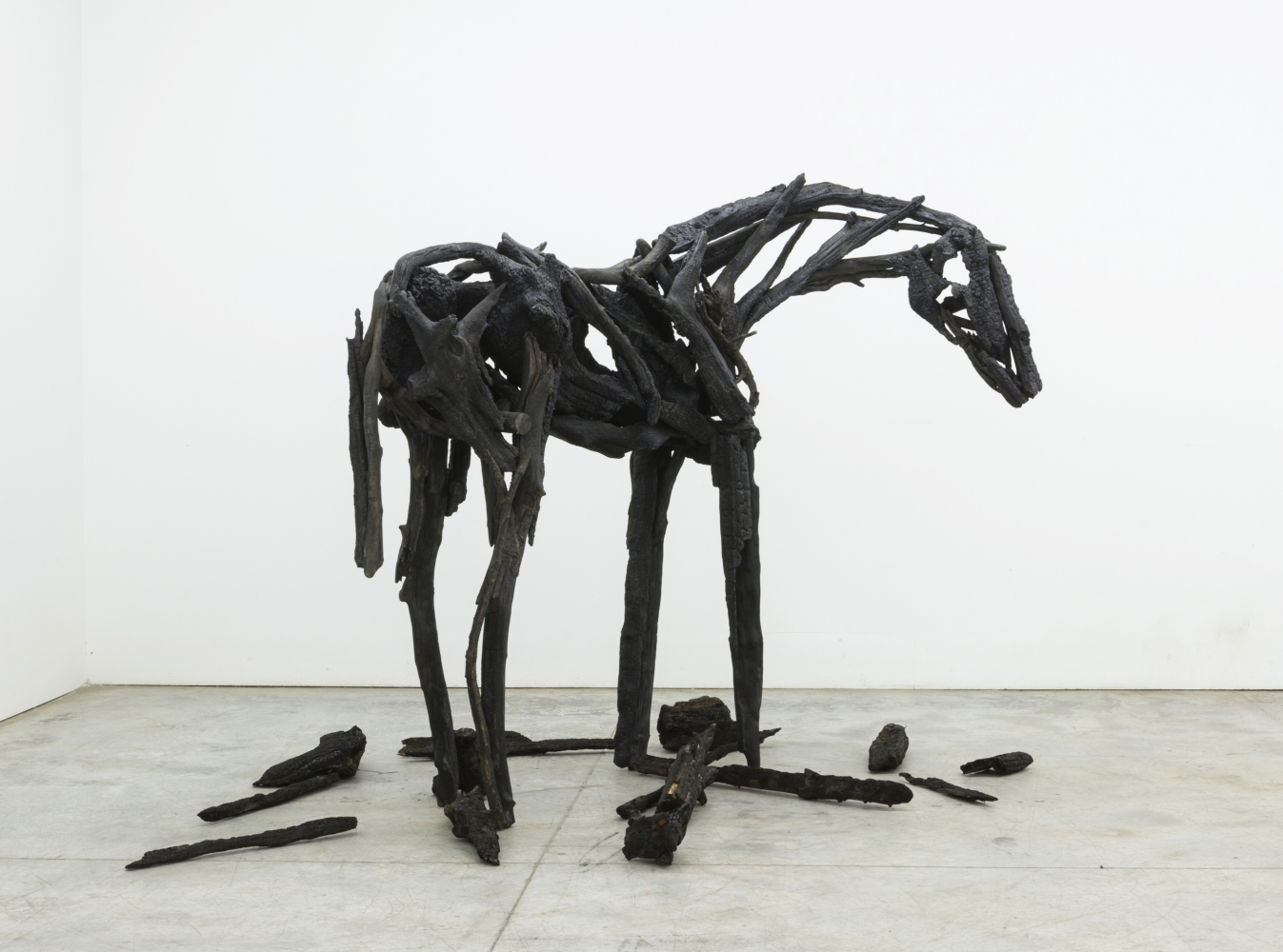 Artist deborah butterfield essays image