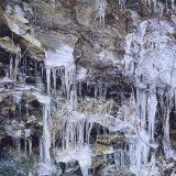 Landscapes