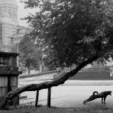 Pentti Sammallahti