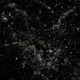 Julia Randall: Night and Day