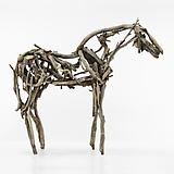 Deborah Butterfield